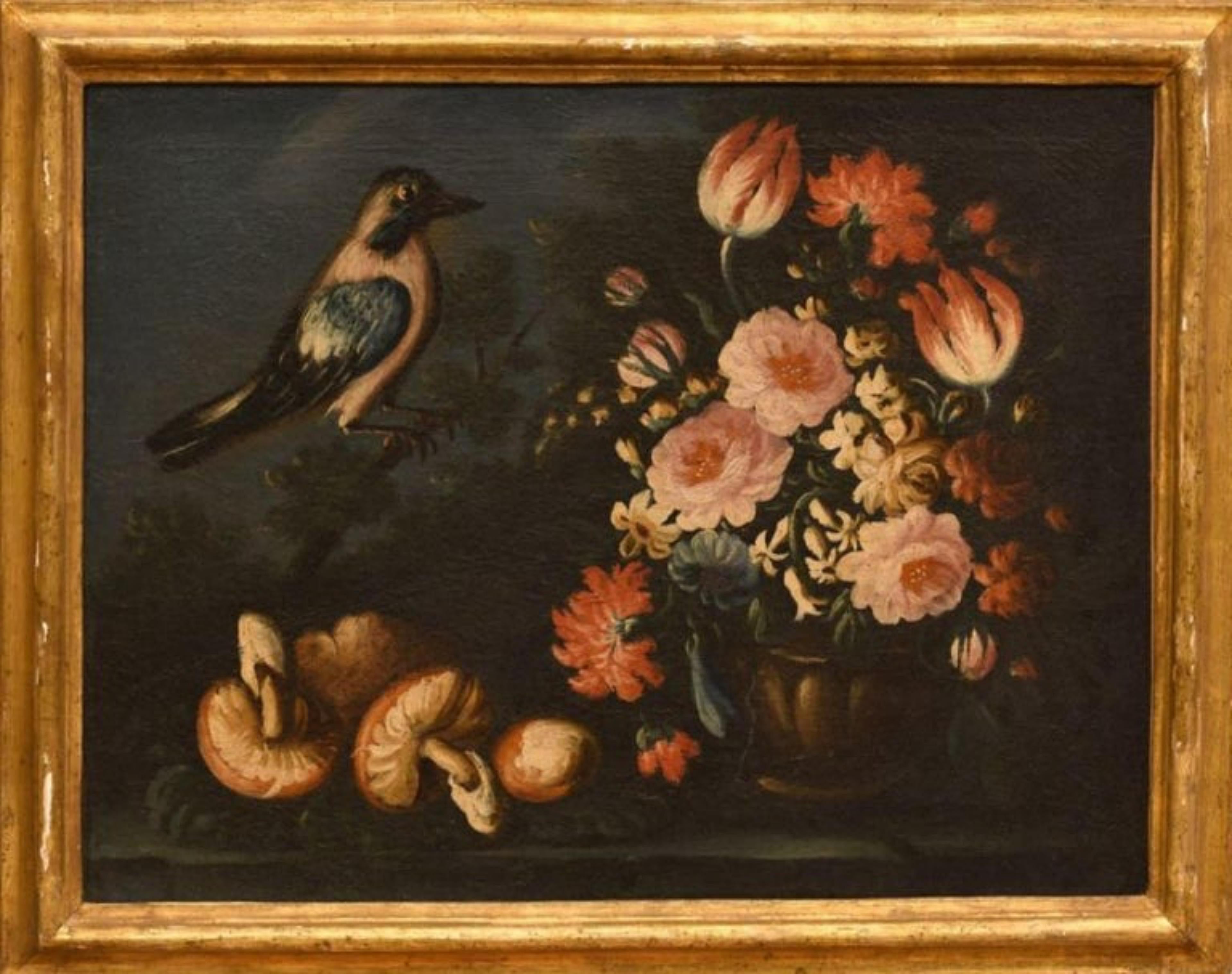 École Emilian - Italie 17ème siècle « Quatre natures mortes avec animaux et fleurs » en vente 1