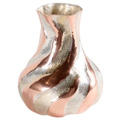 Emiliano Céliz, Cálido, Versilberte Schale, Argentinien, 2025