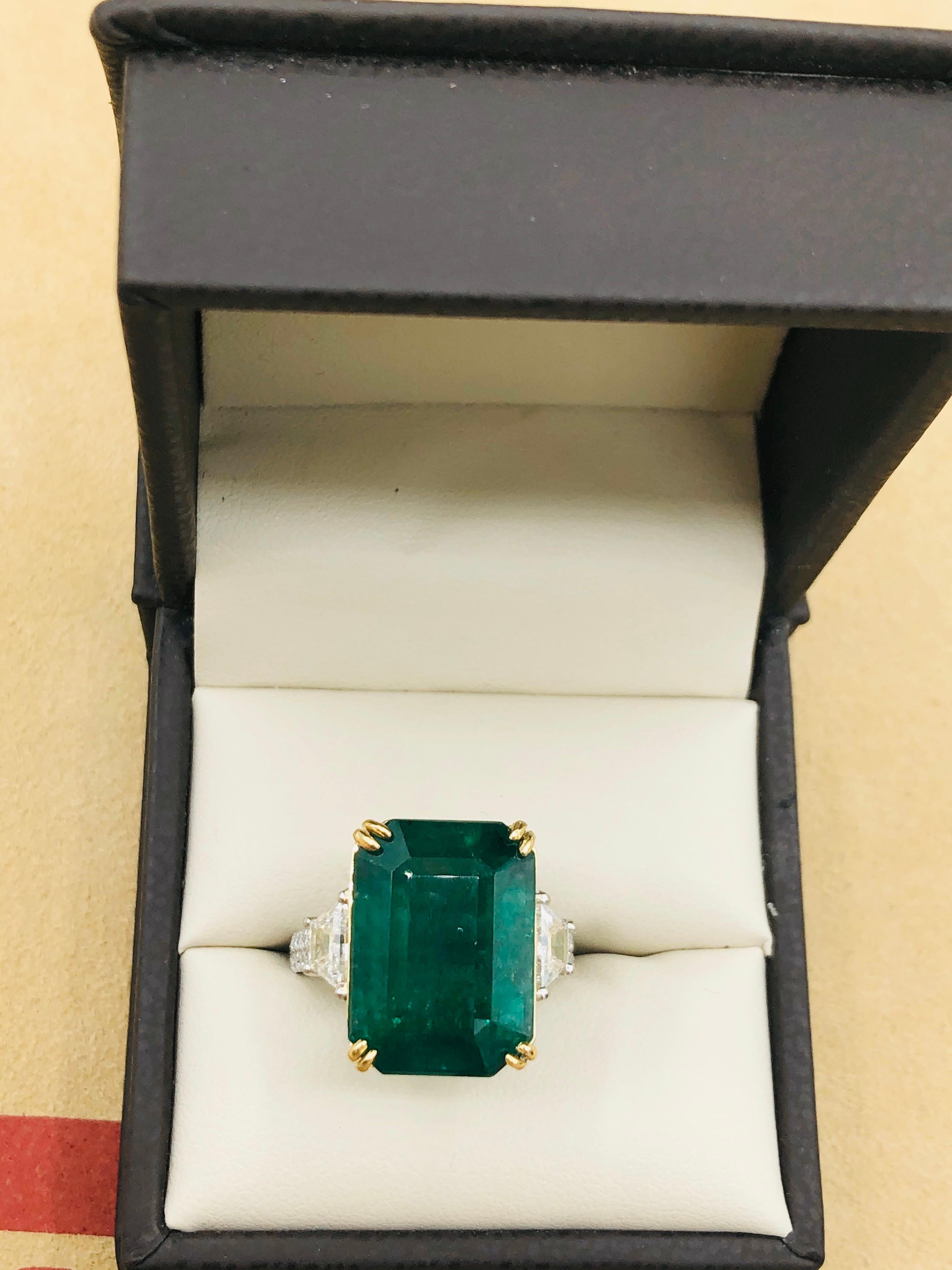 Emilio Jewelry 16.98 Carat Vivid Green Emerald Diamond Ring 7