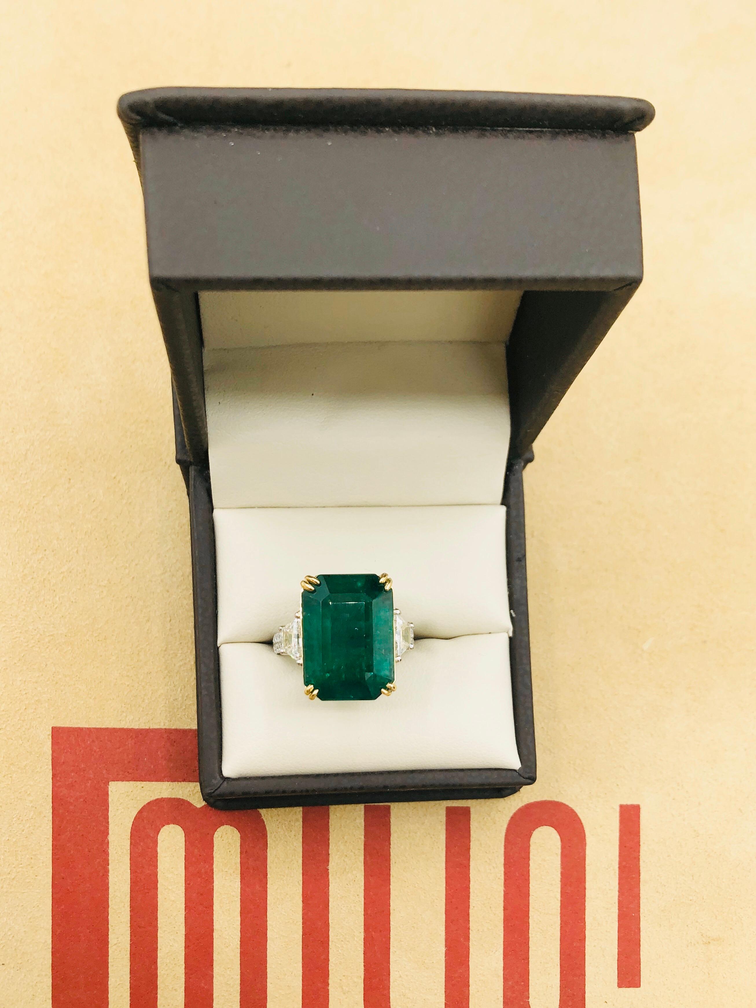 Emilio Jewelry 16.98 Carat Vivid Green Emerald Diamond Ring 8
