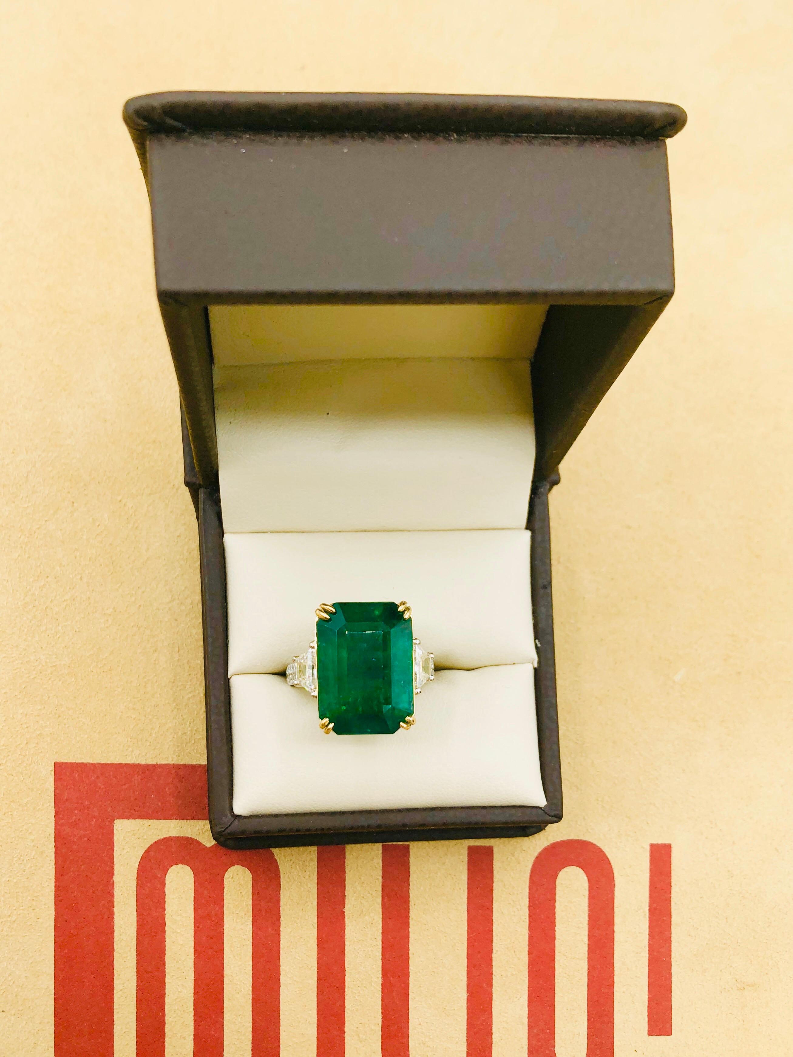 Emilio Jewelry 16.98 Carat Vivid Green Emerald Diamond Ring 10
