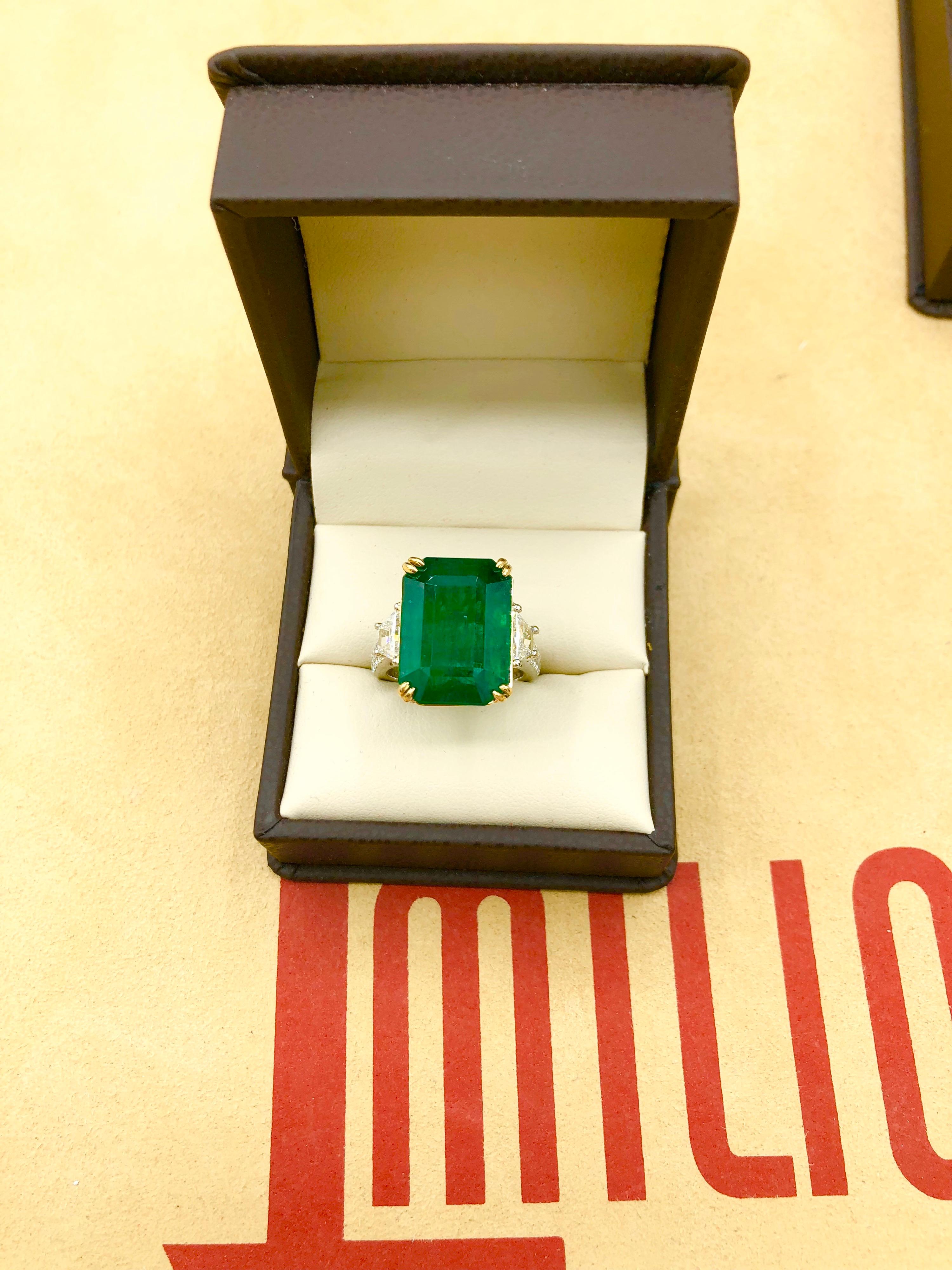 Emilio Jewelry 16.98 Carat Vivid Green Emerald Diamond Ring 3