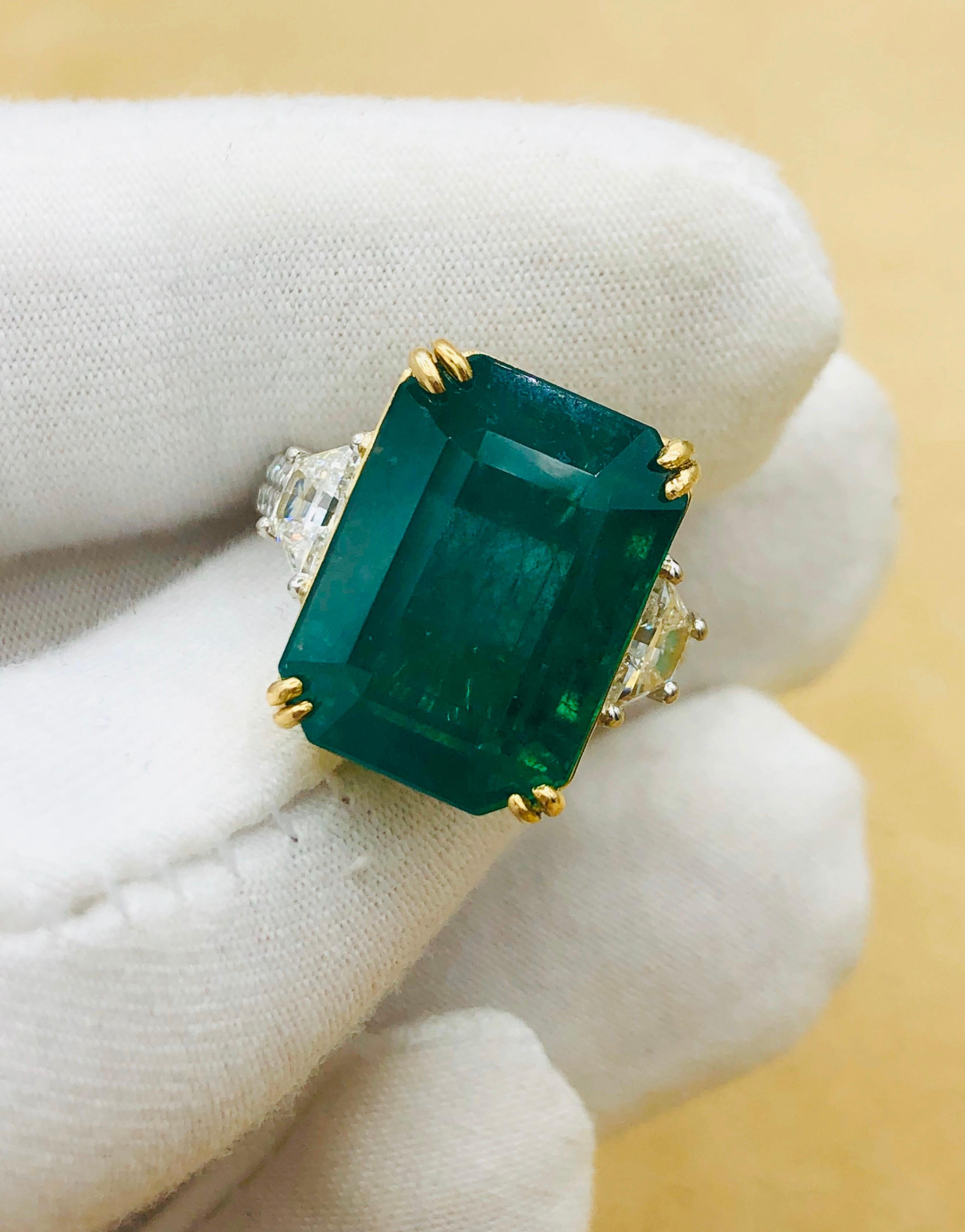 Emilio Jewelry 16.98 Carat Vivid Green Emerald Diamond Ring 6