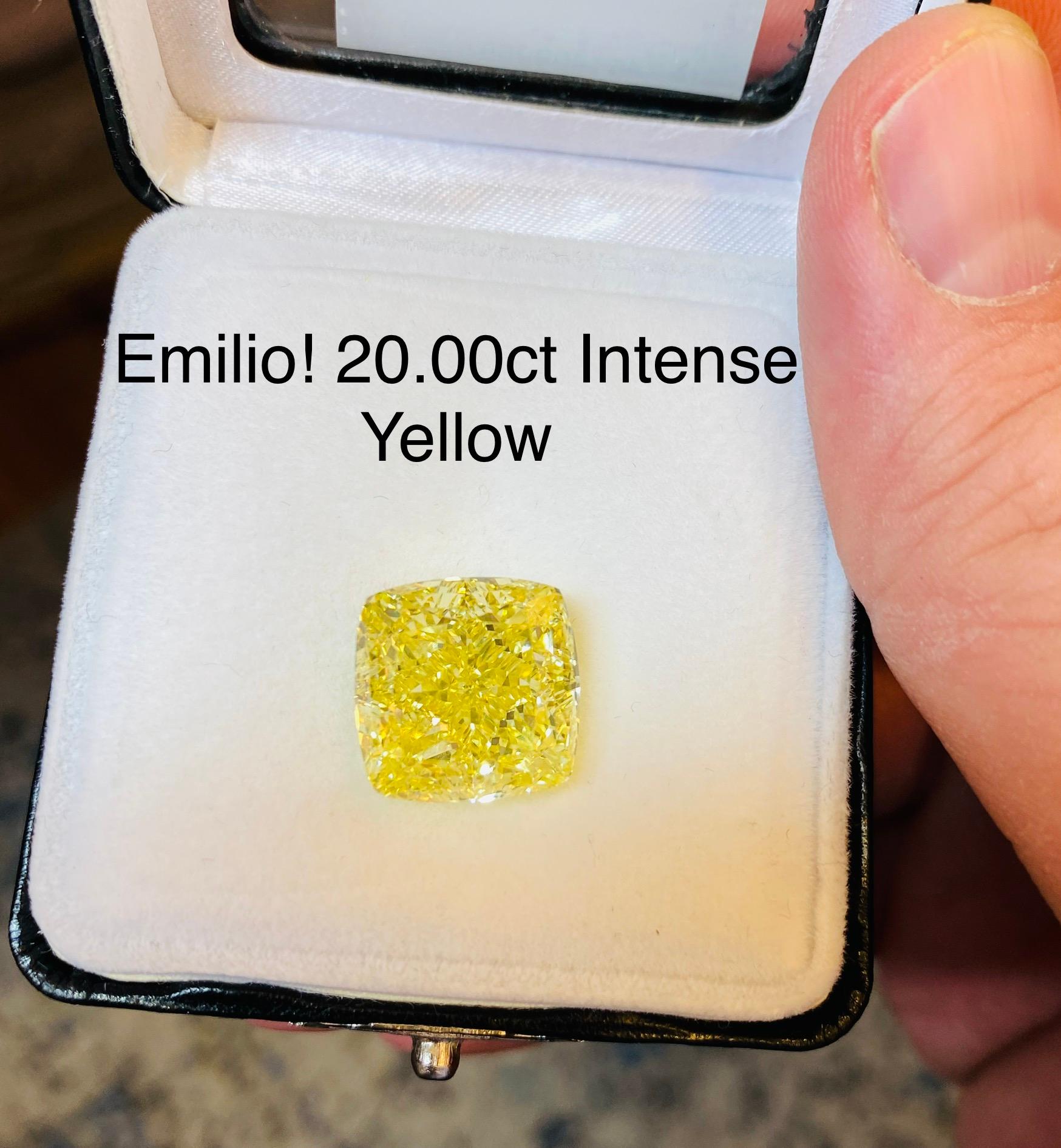 Emilio Jewelry 20.00 Carat Gia Certified Fancy Intense Yellow Diamond In New Condition For Sale In New York, NY