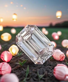 Emilio Jewelry Gia Certified 14.00 Carat D Flawless Golconda Emerald Cut Diamond