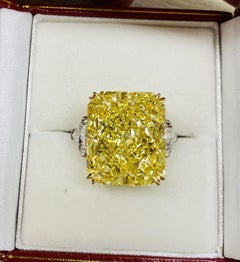 Emilio Jewelry Gia Certified 23.00 Carat Fancy Intense Flawless Diamond Ring