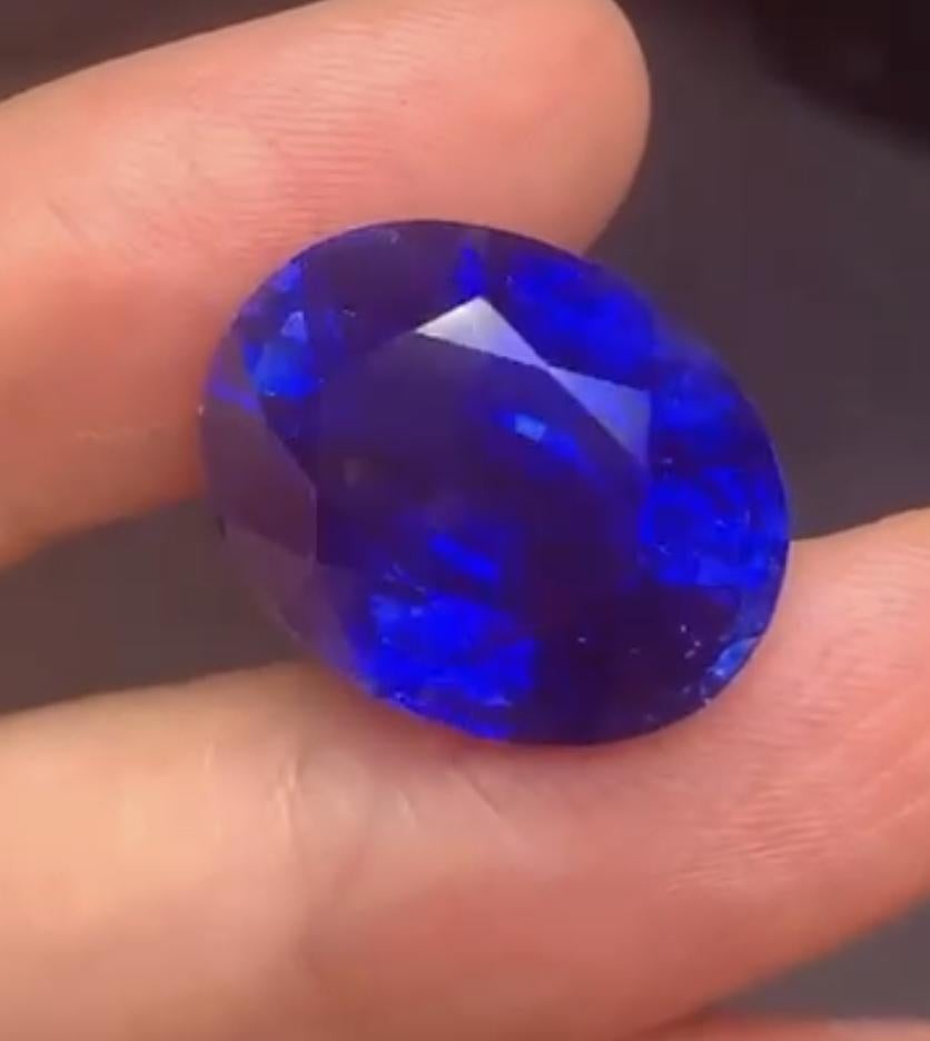 Taille ovale Emilio Jewelry, saphir certifié SSEF 27,00 carats, 565 millions d'années, non chauffé en vente