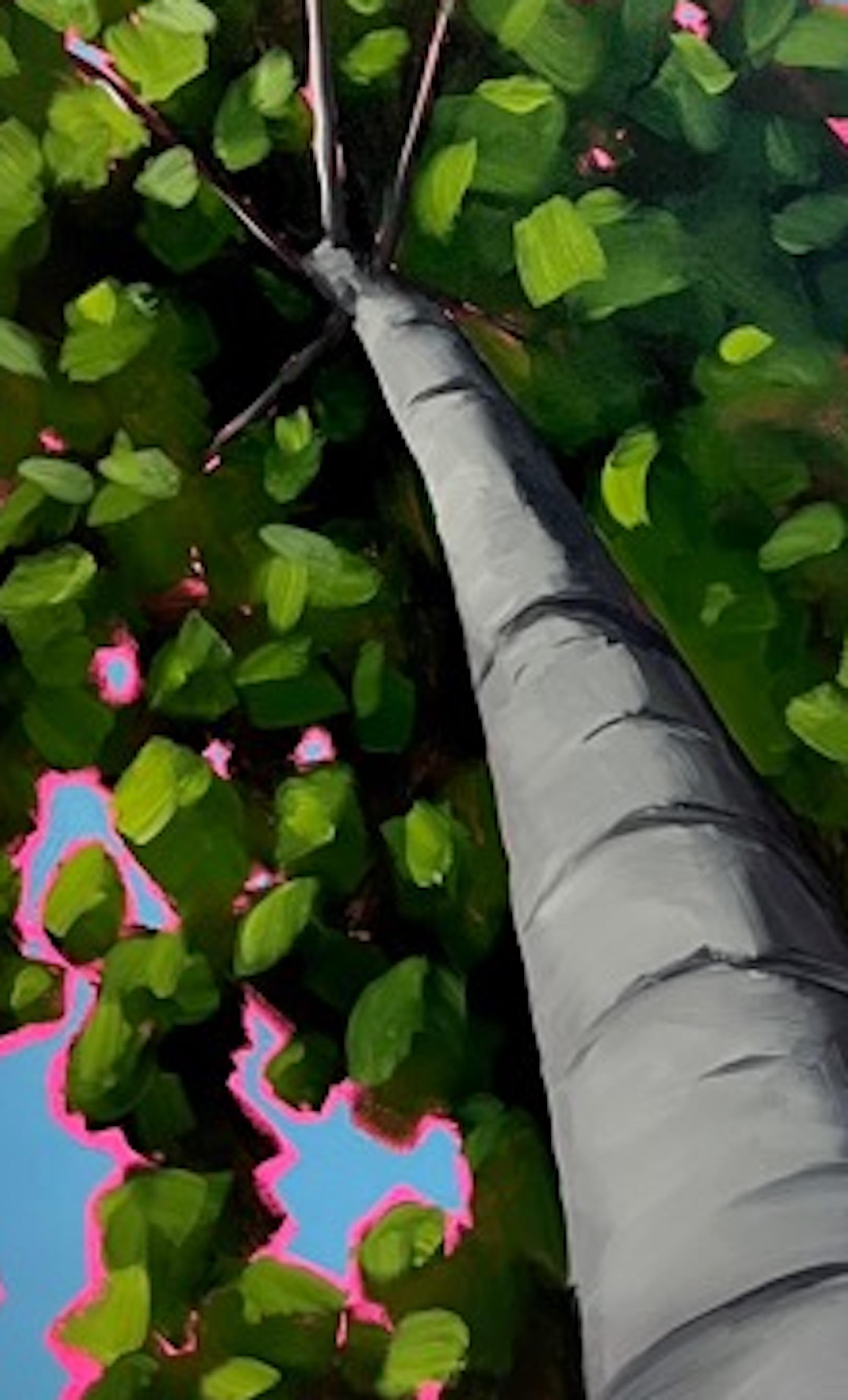These trees grow in the woods opposite Emily's house. She loves to stand between them and look up. They seem to have grown in perfect harmony - each one making room for the other. This painting is part of a series called Look Up Trees. Emily spends