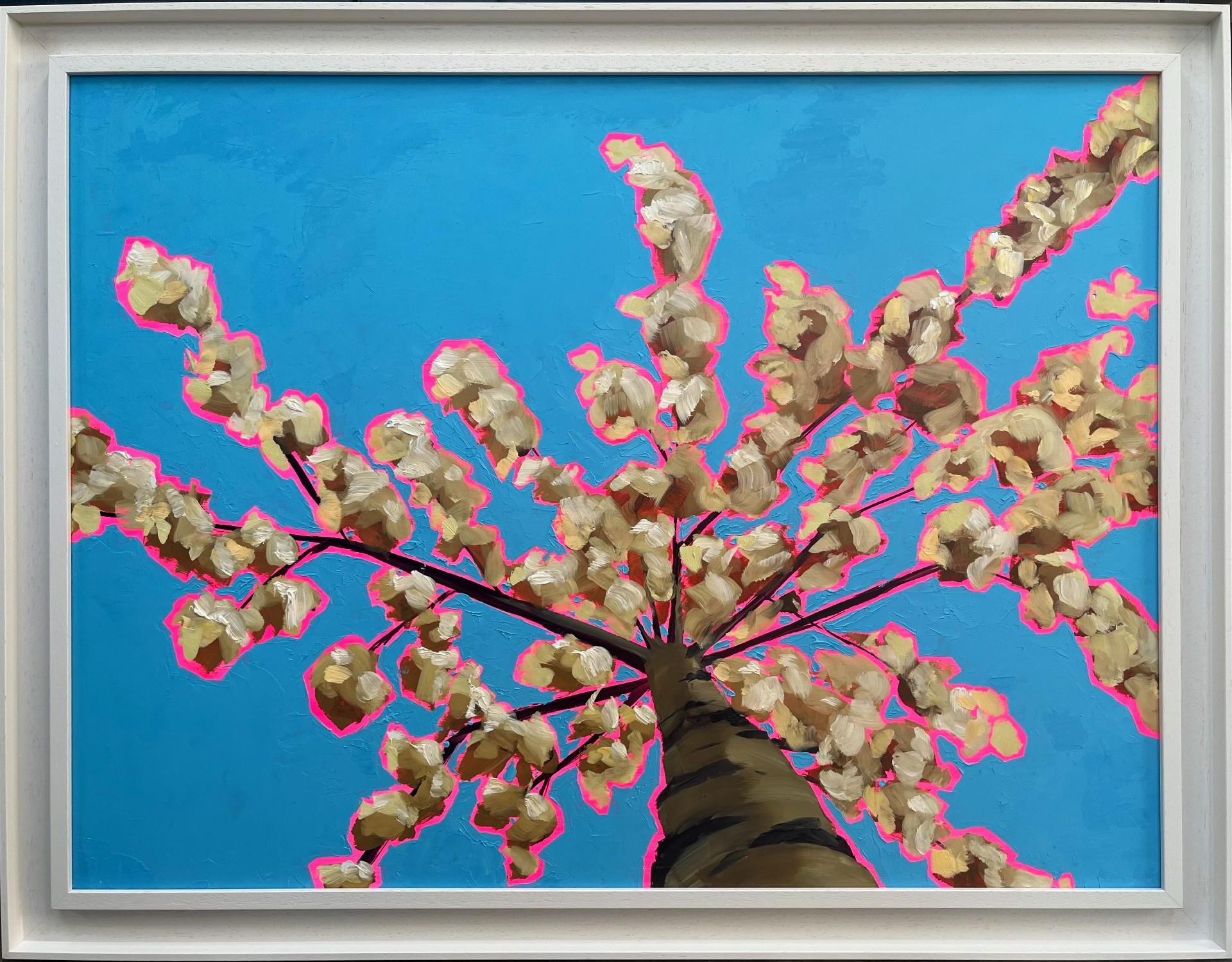 Emily Finch Landscape Painting - Looking Up Through White Blossom to Calm, Tree Painting, Landscape Pop Art