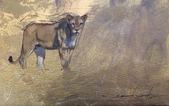 Namibian lioness