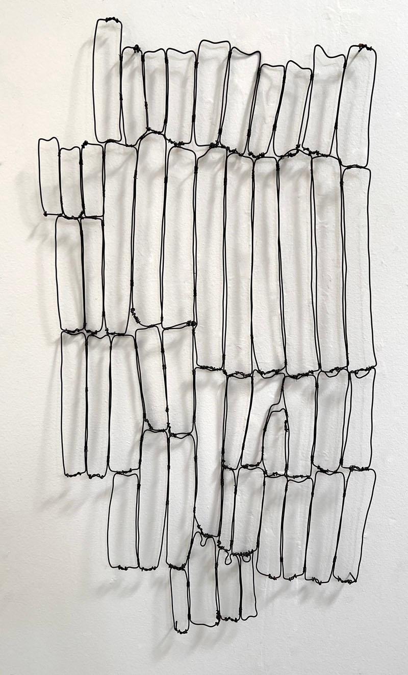 Carapace - Mixed Media Art di Emily Payne