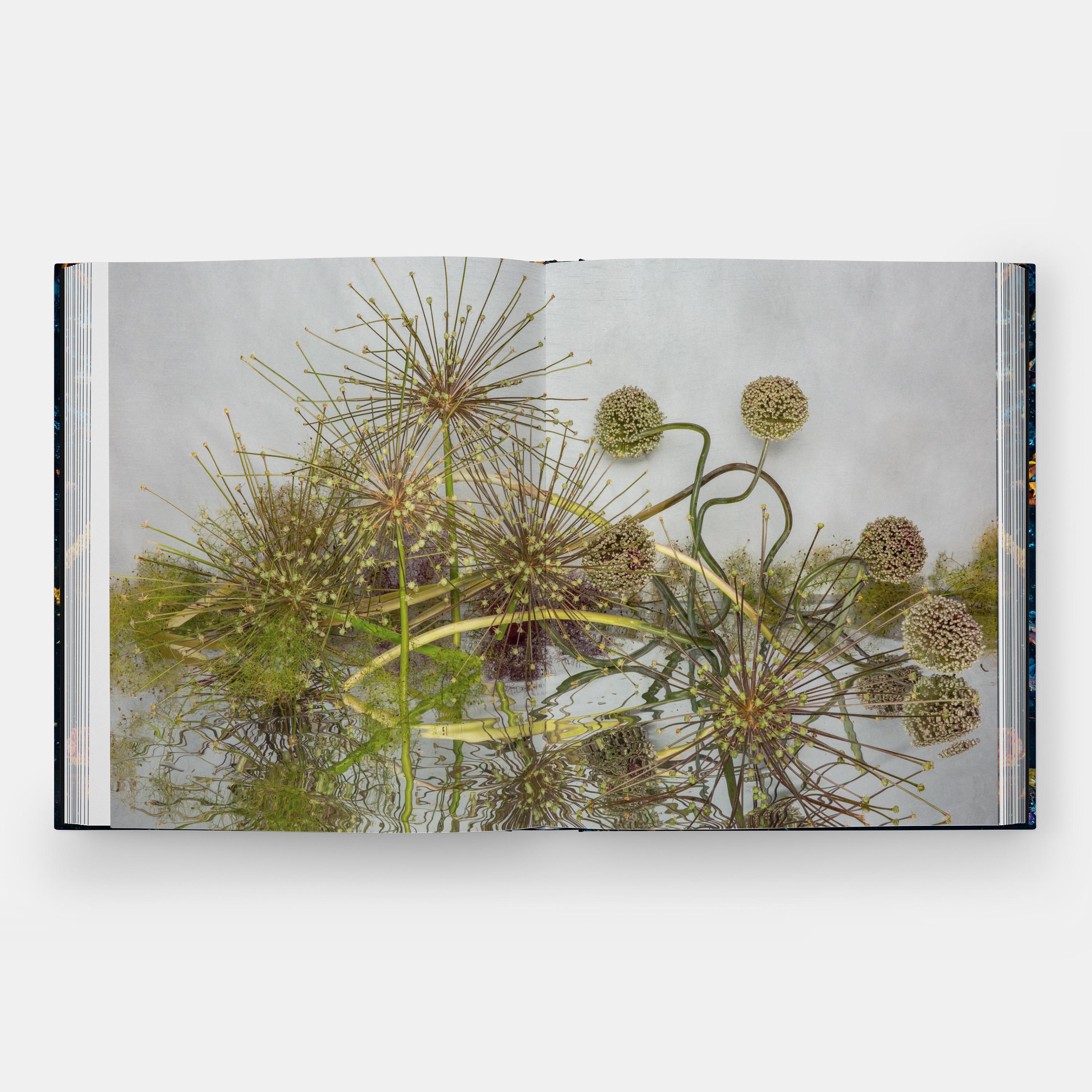 Contemporary Emily Thompson Flowers For Sale