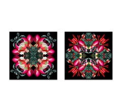 Mandala 7A and 6A, (Diptych) From the Mandala Series