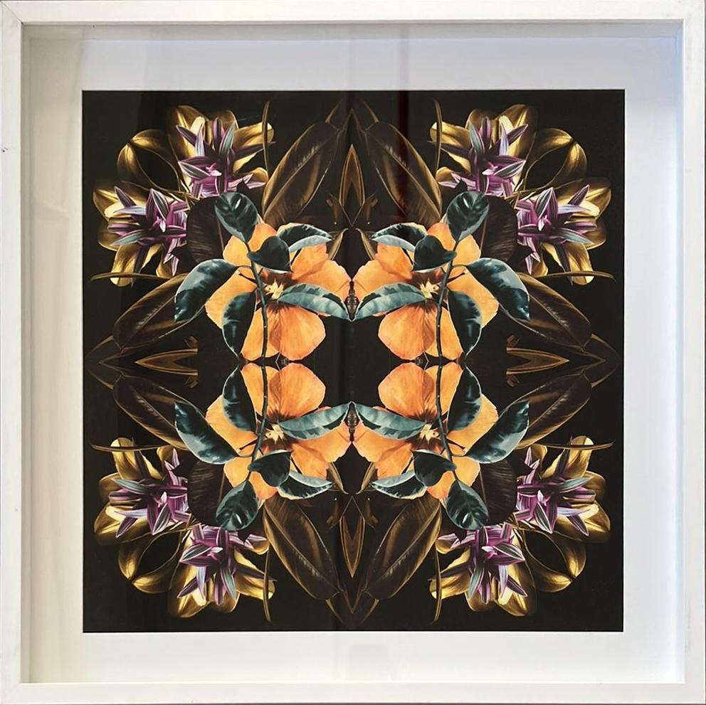 Mandala 8A by Emma Anna
From The Mandalas Series
Archival pigment print on Photo Rag 308gsm
Image size: 19.5 H x 19.5 W inches 
Sheet size: 22 H x 22 W inches
Frame size: 24.5 H x 24.5 W x 2 D inches
Edition of 20
*Unsigned artwork
Gallery