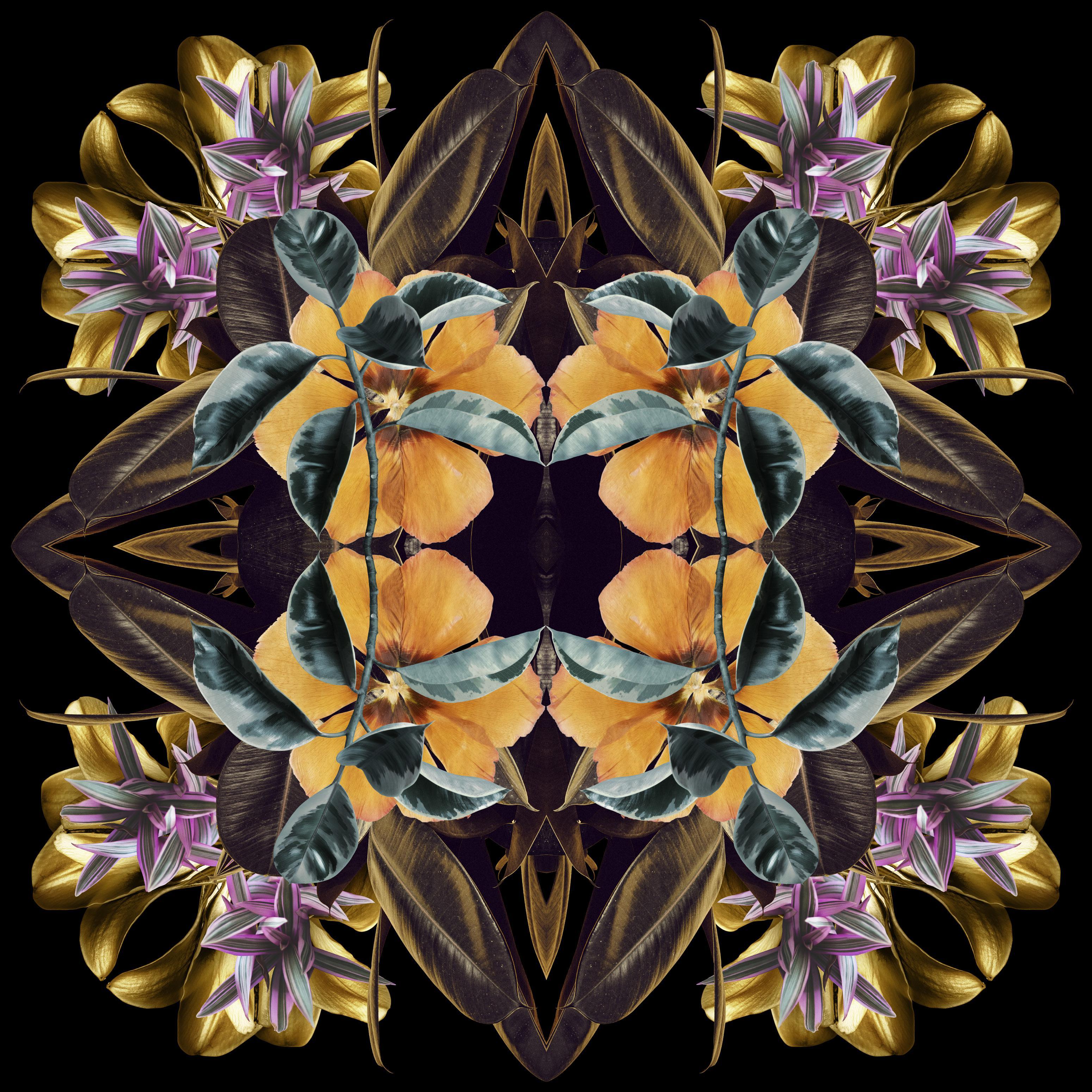Mandala 8A, From the Mandalas series. Color Photographs For Sale 2