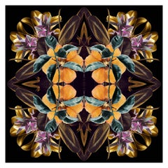Mandala 8A, From the Mandalas series. Color Photographs