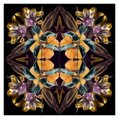Mandala 8A, Dalla serie Mandala. Fotografie a colori