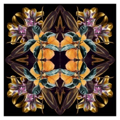 Mandala 8A, de la série Mandalas. Photographies en couleur