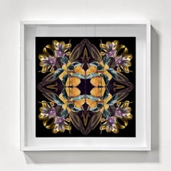 Mandala 8A, Aus der Mandalas-Serie. Farbfotografien