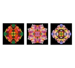 Mandala 1A, 4A, and 3A,  (Triptych) From Mandala Series