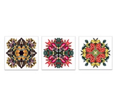 Mandala 8B, 6B, and 5B,  (Triptych) From Mandala Series
