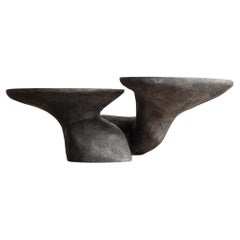 Table basse Callisia par Emma Donnersberg & Abel Carcamo, France, 2022