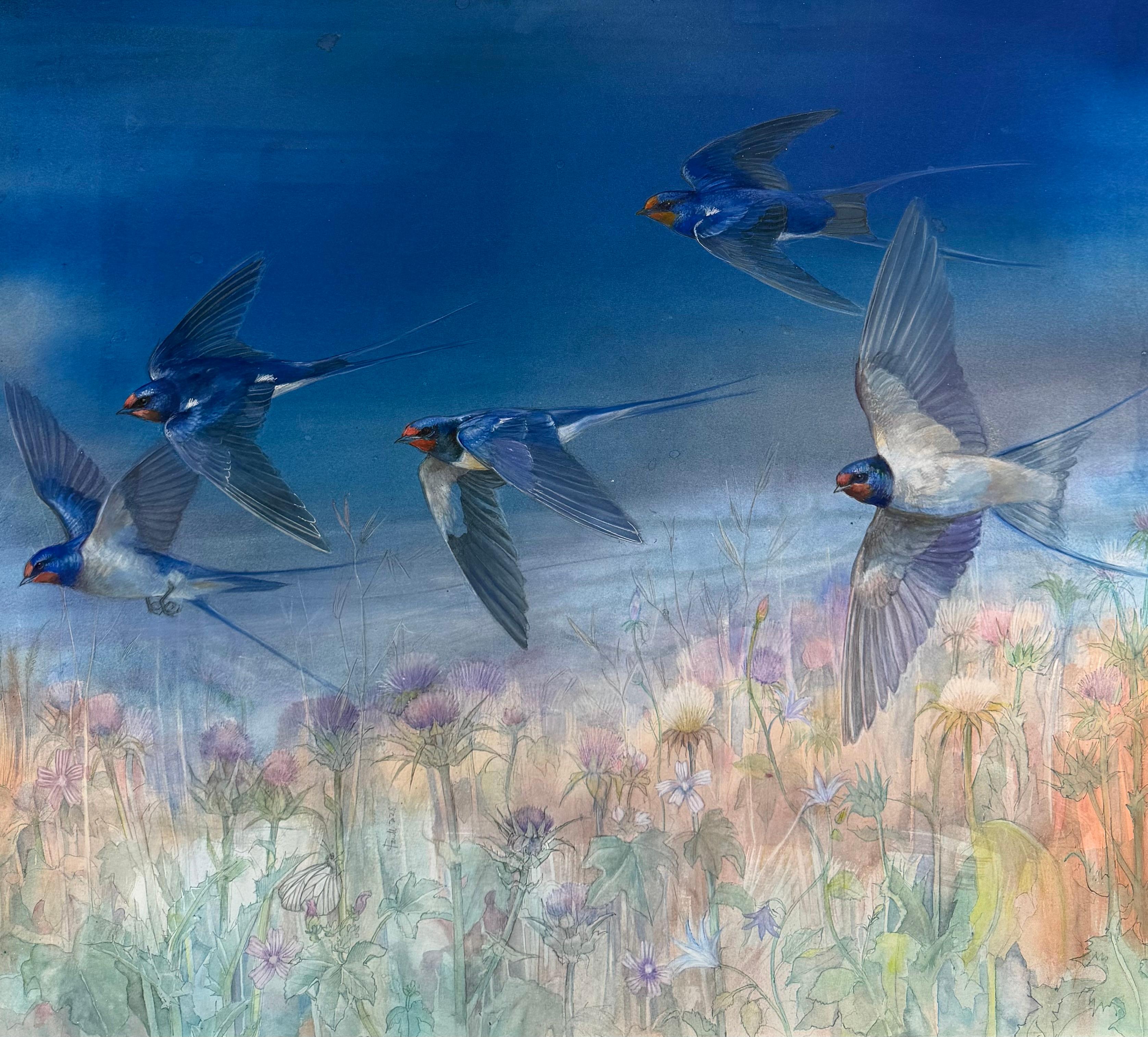 Swallows