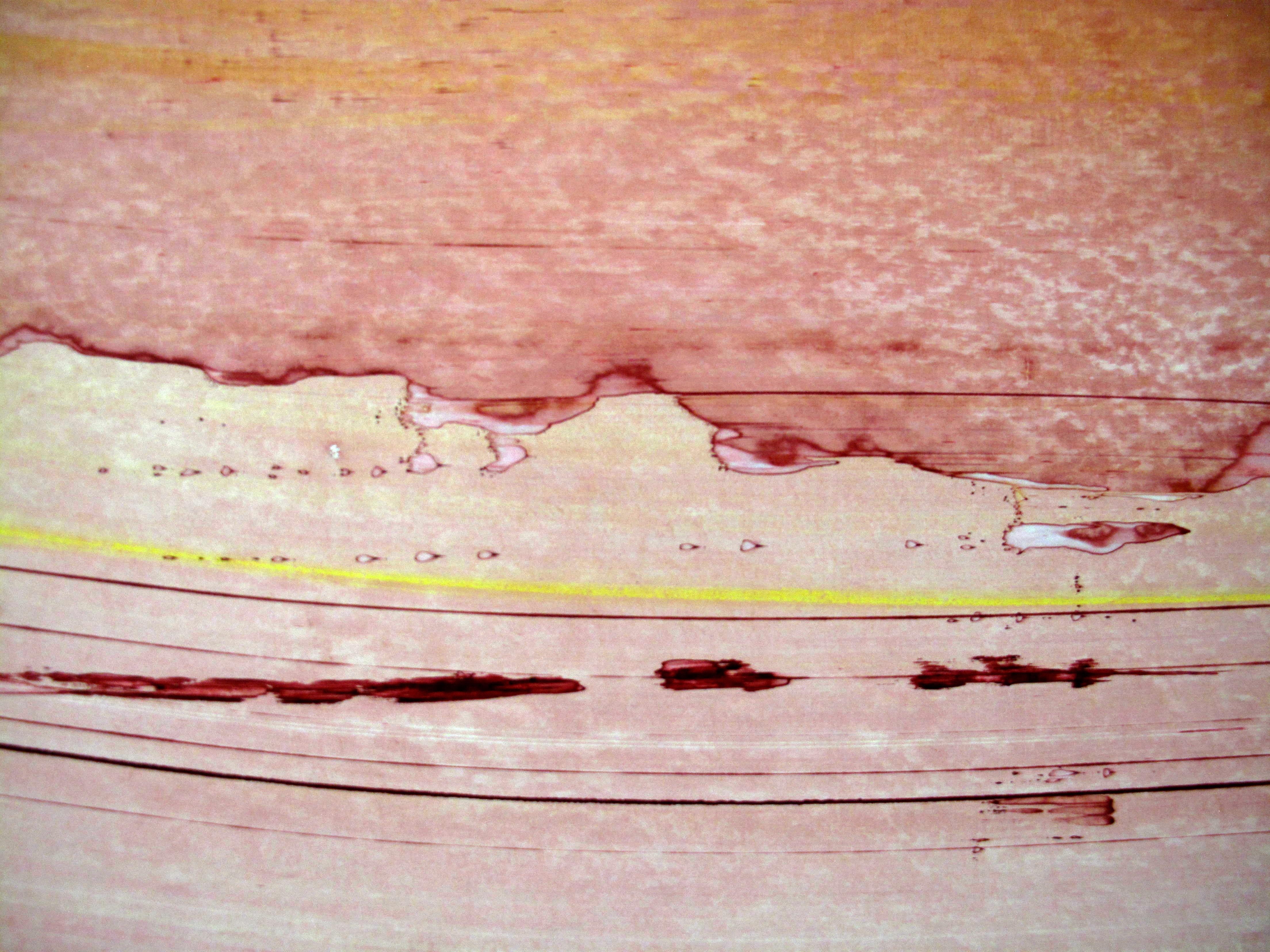 Memento (Sanfte Wärme) (Abstrakte Malerei)

Acryl und Pigmente auf lackierter Holzplatte - Ungerahmt

Emma Godebska ist eine französische abstrakte Künstlerin, die in Nîmes, Frankreich, lebt.
Ihre Verwendung von Naturpigmenten, die die Natur selbst