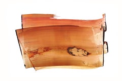 Soft Light 02- nature contemporary orange abstract acrylic and pigment on board