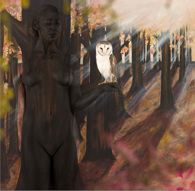 Emma HACK Figurative Photograph -  Owl in Autumn Woods 