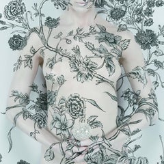 Wallpaper Carnation