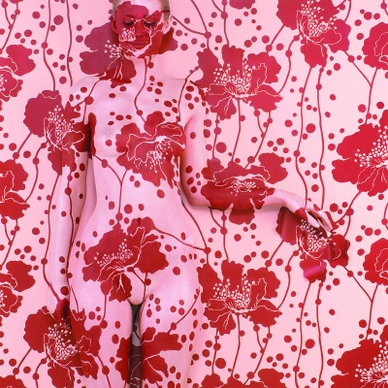 Emma HACK Still-Life Photograph -  Wallpaper Spotted Floral, 2008 
