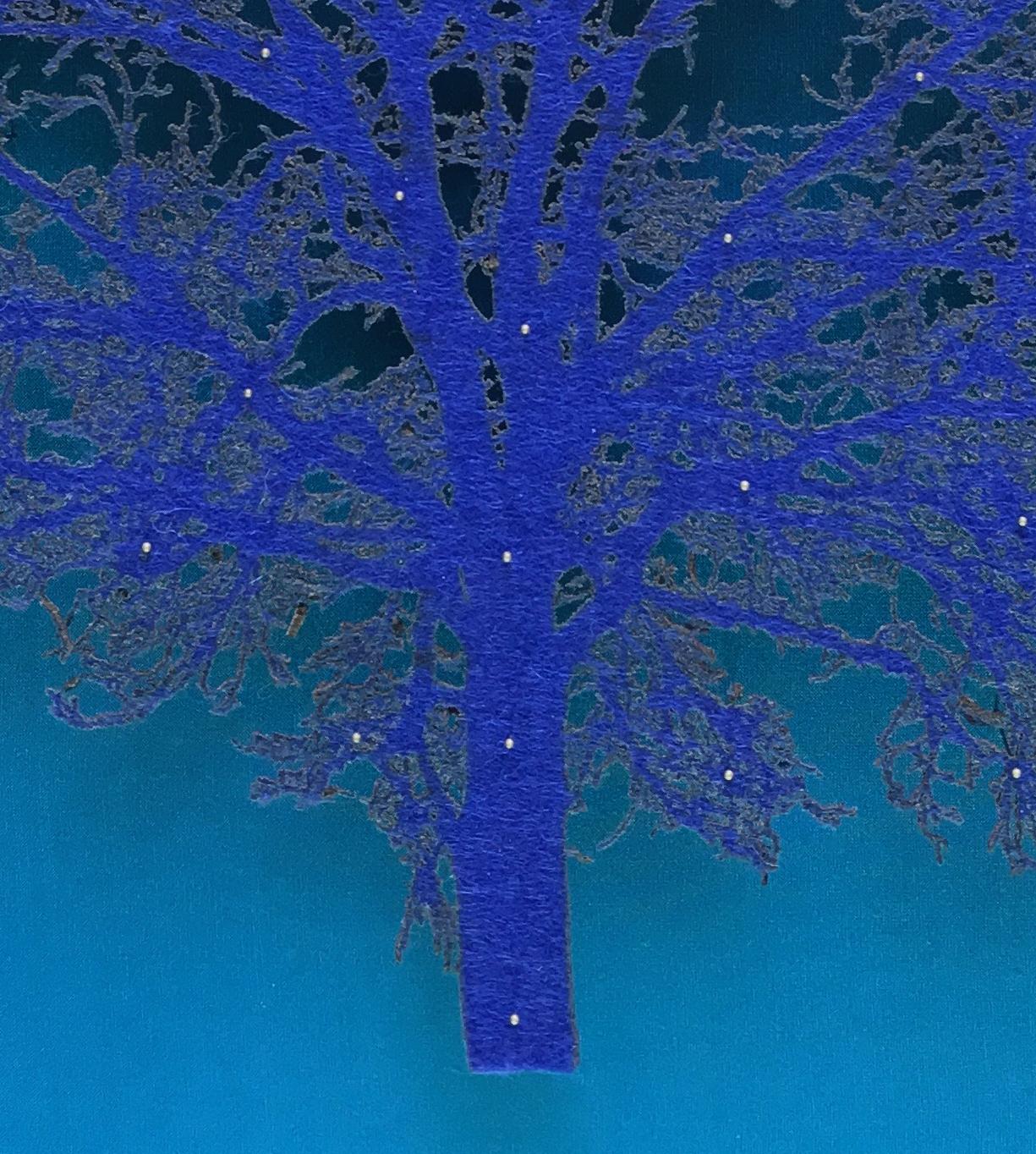 blue oak tree for sale