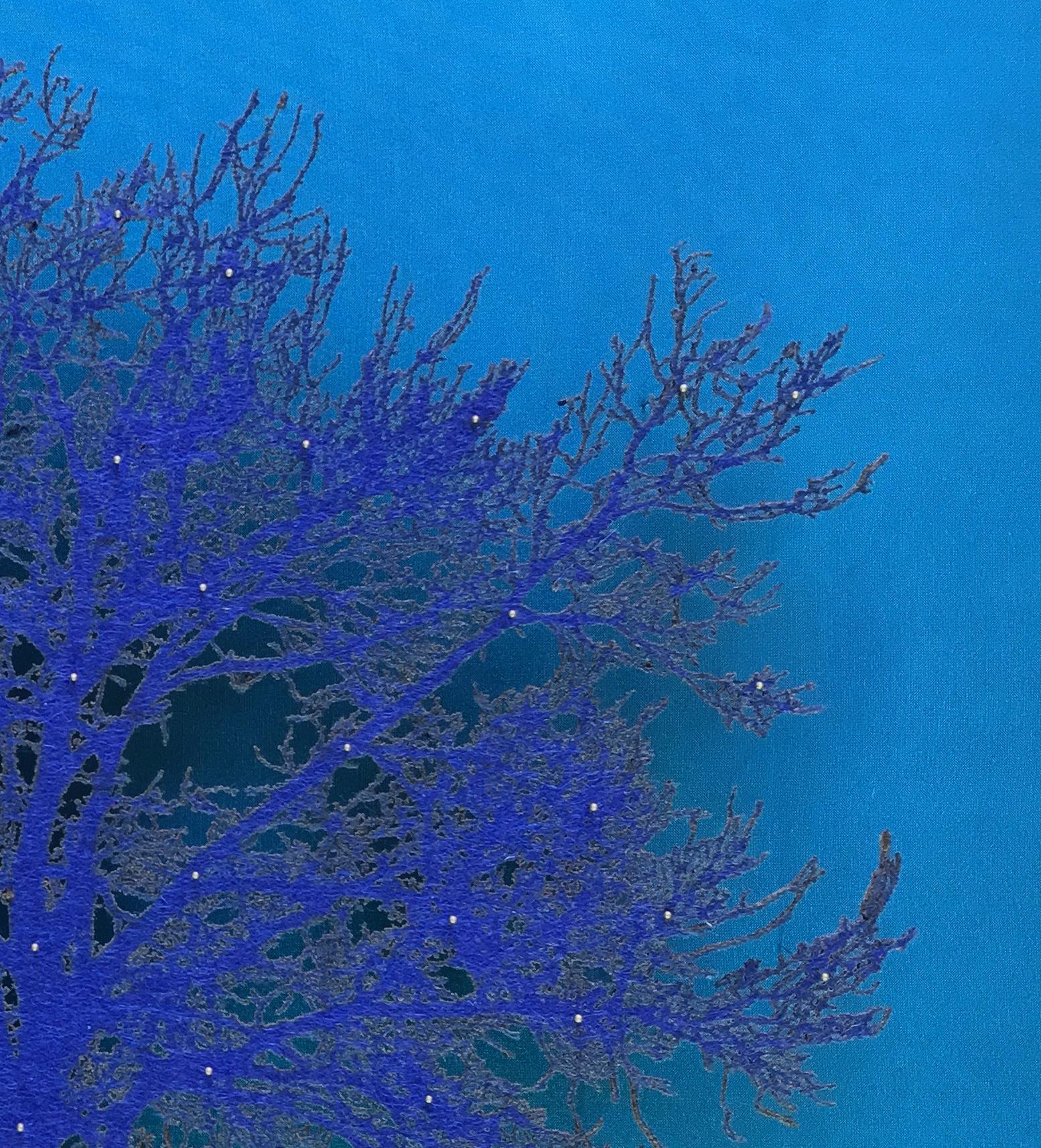 blue oak tree for sale