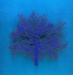 Blue Oak - contemporary mixed media delicate lasercut image tree framed glazed