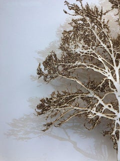 Cedar Oak - contemporary mixed media artwork nature tree framed glazed