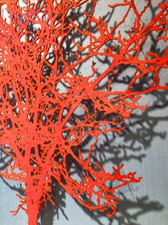 Felt Hawthorn - contemporary red tree lasercut glazed framed mixed media artwork
