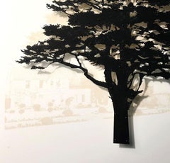 Southrop Cedar - Mixed media tree: contemporary, framed & glazed