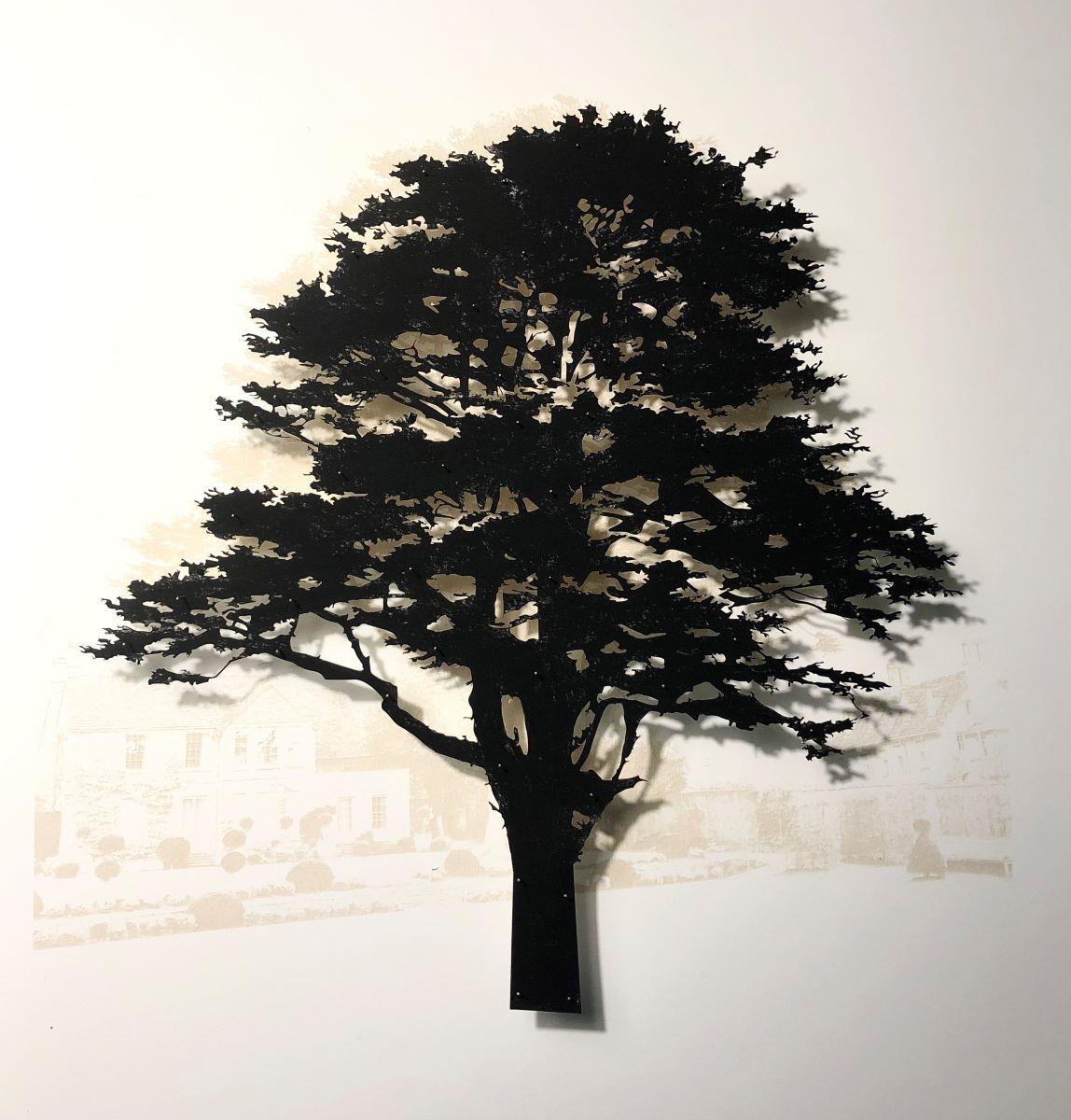 Southrop Cedar - Mixed media tree: contemporary, framed & glazed - Mixed Media Art by Emma Levine