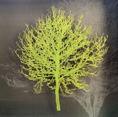Green Tree, Tree Art, 3D Wall Art, Bright Minimalist Art, Green Landscape Art