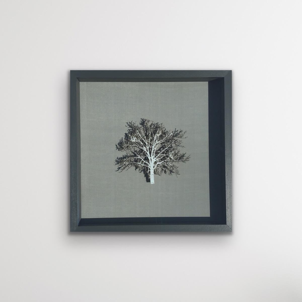 Chêne blanc, art contemporain d'arbre en 3D, découpe de papier originale, œuvre d'art minimaliste - Contemporain Painting par Emma Levine