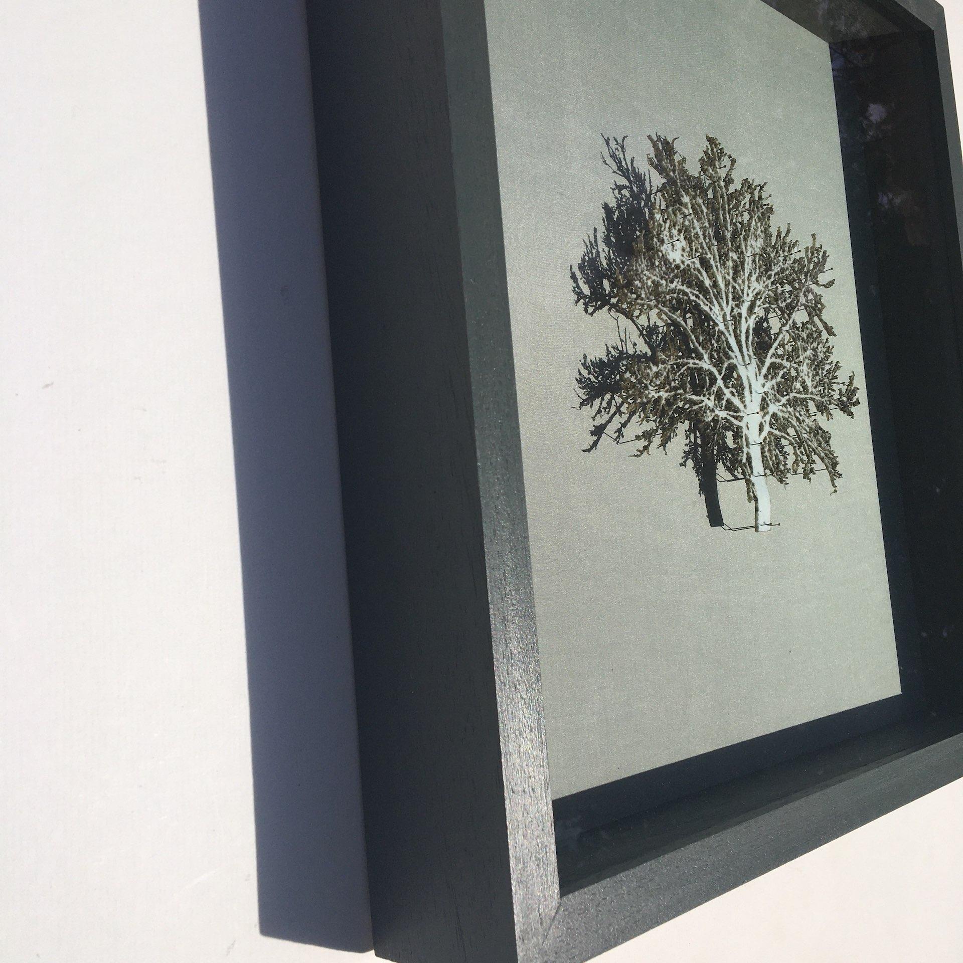 Chêne blanc, art contemporain d'arbre en 3D, découpe de papier originale, œuvre d'art minimaliste - Gris Landscape Painting par Emma Levine