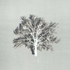 White Oak, Contemporary 3D Tree Art, Original Paper Cut, Minimalist Artwork