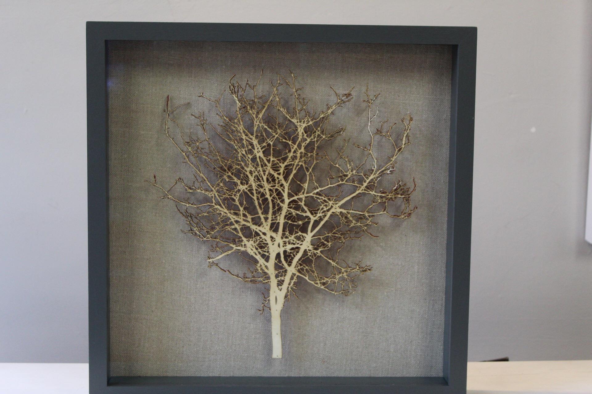 Zeitgenössische 3D-Baumkunst mit gebürstetem Hawthorne, Originalpapier-Stillleben (Braun), Landscape Painting, von Emma Levine