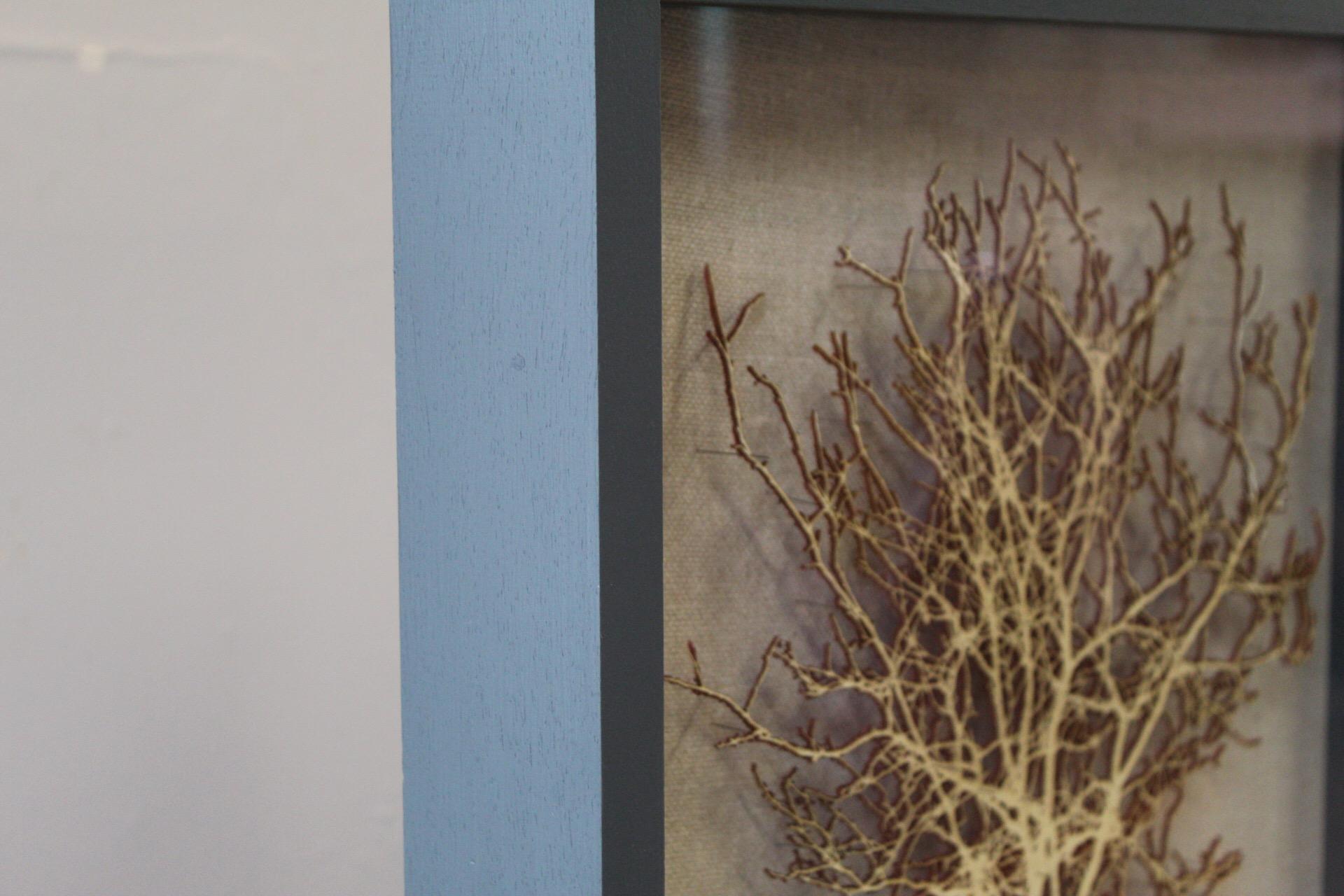 Fawn Weißdorn
Lasergeschnittener Weißdornbaum aus Papier, mit Stecknadeln befestigt
Fawn Hawthorne ist ein Original-Scherenschnitt-Kunstwerk von Emma Levine. Die neutralen Töne verleihen diesem Stück eine beruhigende Wirkung.

Emma Levine ist bei