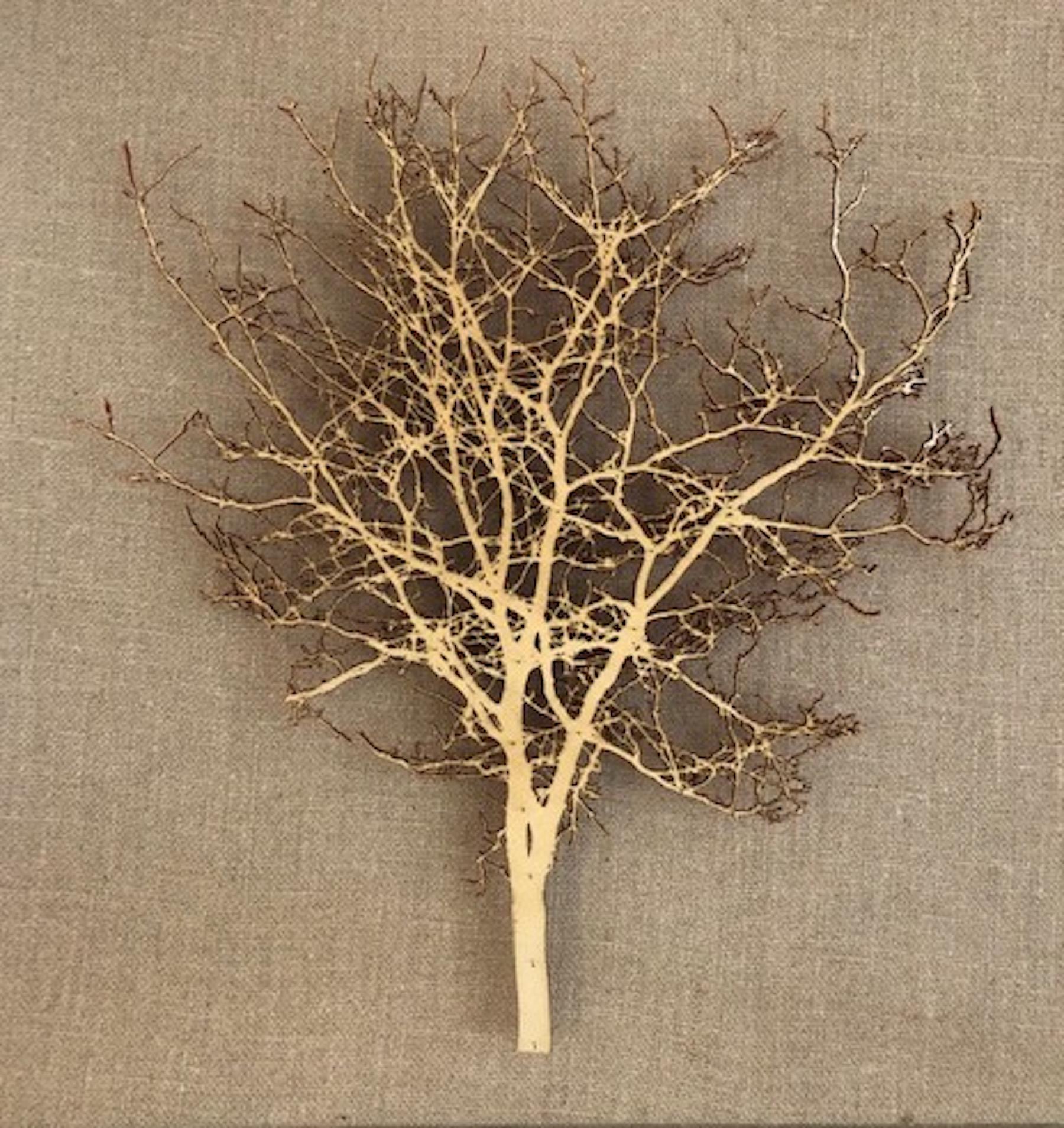 Emma Levine Landscape Painting – Zeitgenössische 3D-Baumkunst mit gebürstetem Hawthorne, Originalpapier-Stillleben