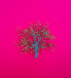 « Hot Oak », Emma Levine, impression florale, œuvre originale, colorée, paysage 