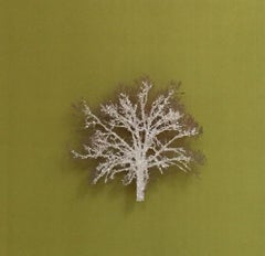 Moss Tree, Crystal Glitter Oak Tree, laser cut relief wall art 