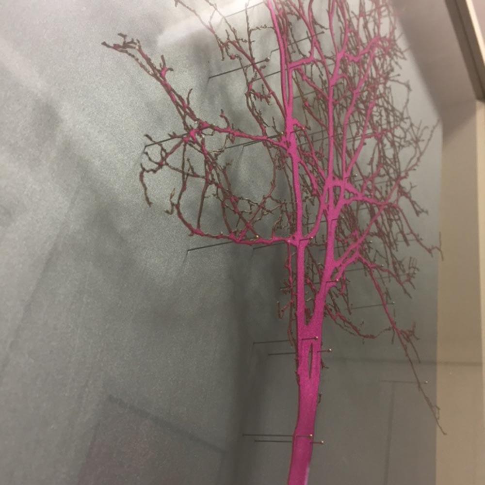 Pink and Grey Hawthorne , installation art, laser cut tree in box frame - Sculpture by Emma Levine