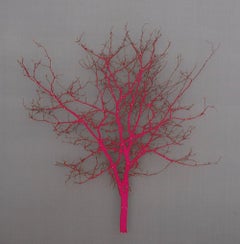 Pink and Grey Hawthorne , installation art, laser cut tree in box frame
